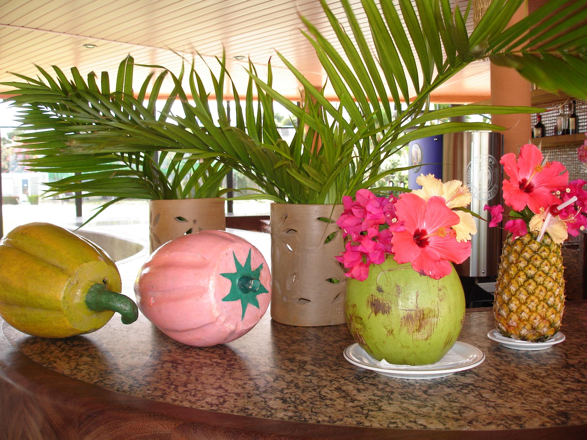 Marina Park Hotel Φορταλέζα Εξωτερικό φωτογραφία A variety of fruit